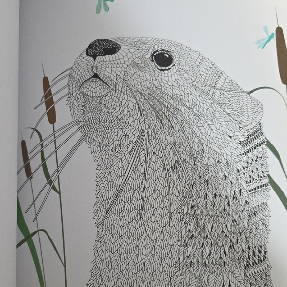 Set of Two Adult Coloring Books - The Menagerie and Magic Garden - Picture 16 of 16